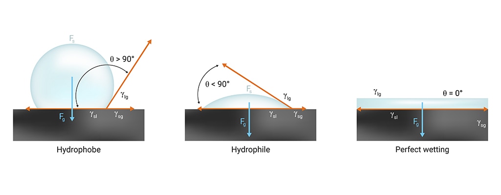 Hydrophobic vs Hydrophilic Inforgraphic